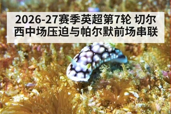 2026-27赛季英超第7轮 切尔西中场压迫与帕尔默前场串联